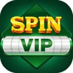 Spin VIP