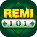 Remi 101