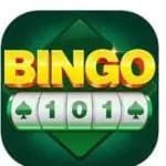Bingo 101